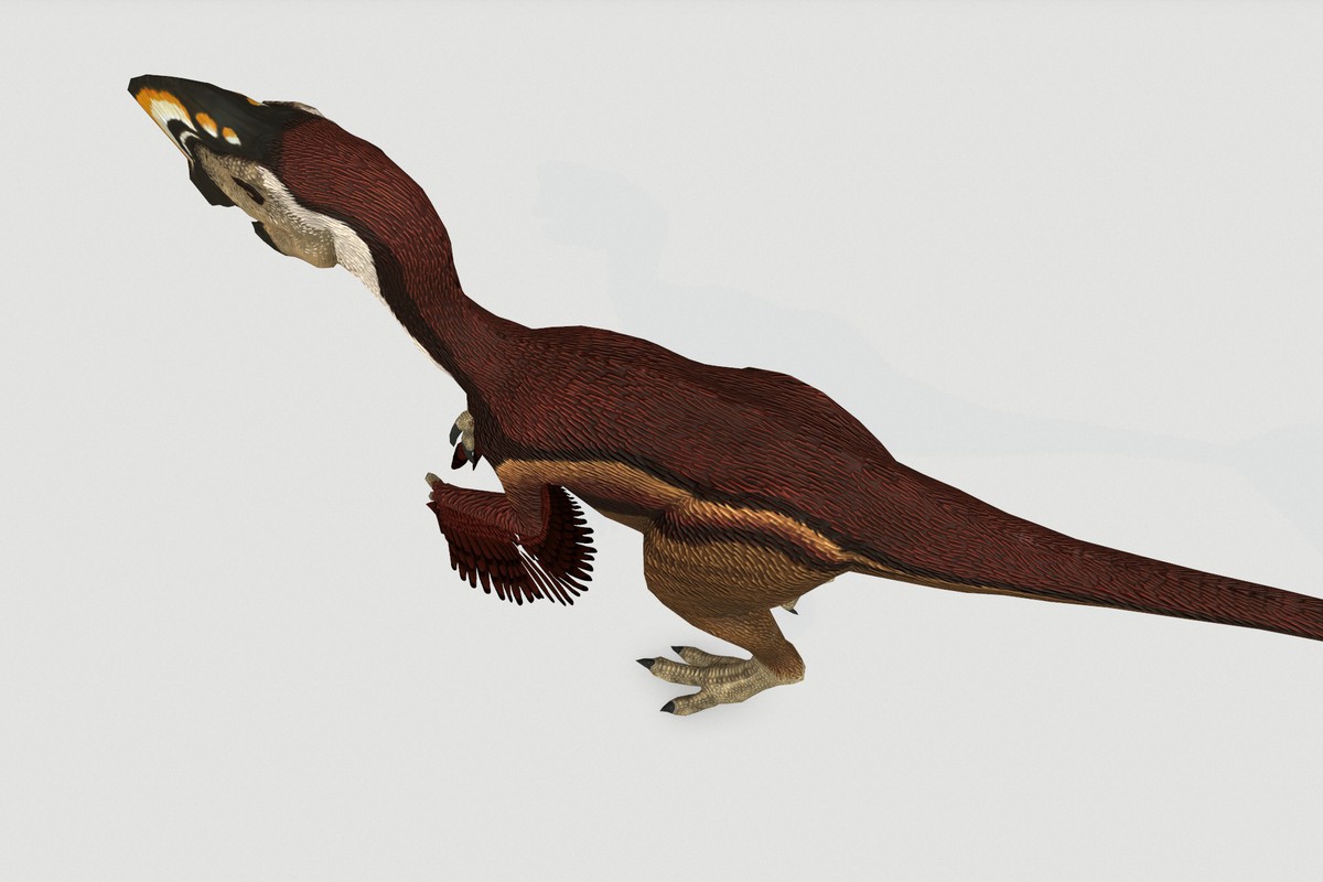 Oviraptor
