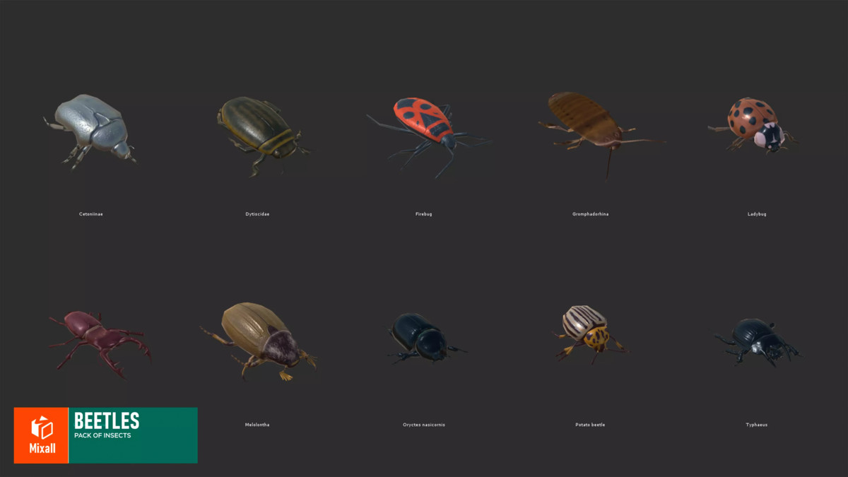 Animals pack - birds, reptiles and others