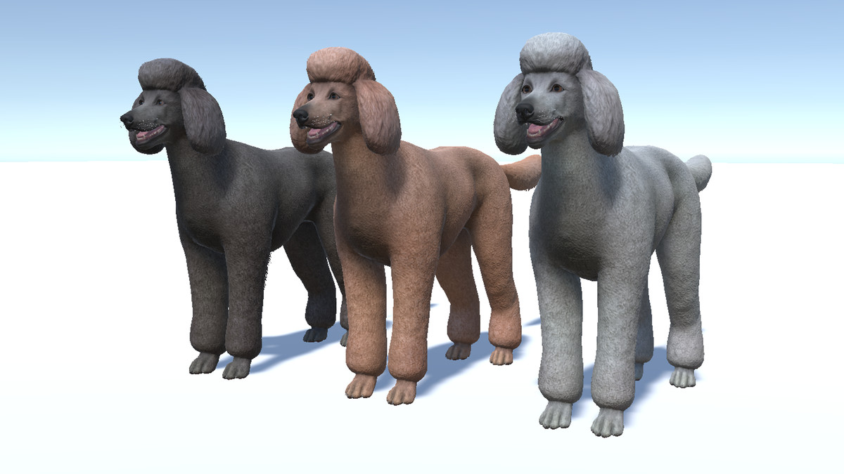 Dog - Poodle