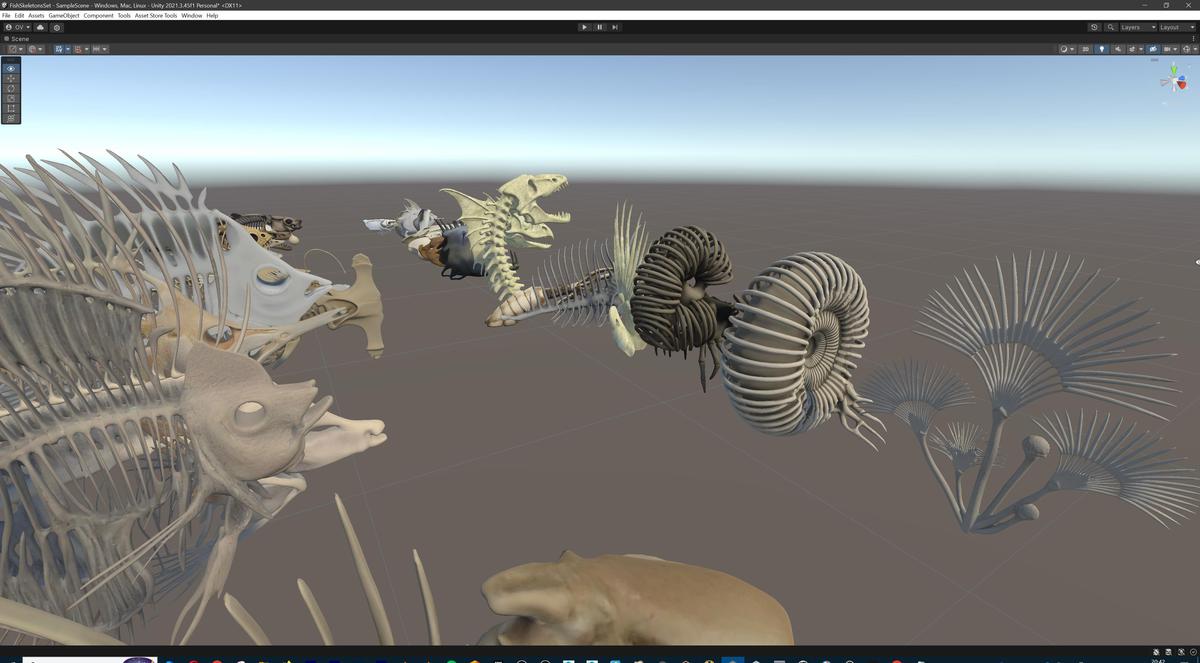 Fish and Underwater Creatures Skeleton Collection – Marine Bone 3D Asset Pack