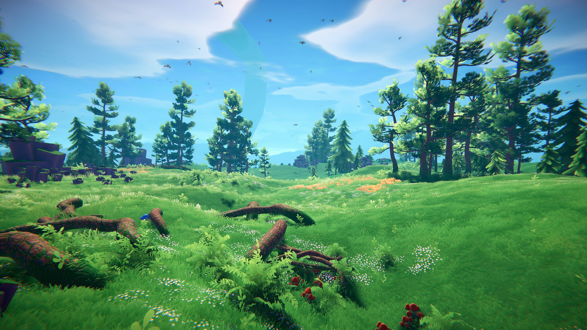 Adventure Nature Vol.6 Forest