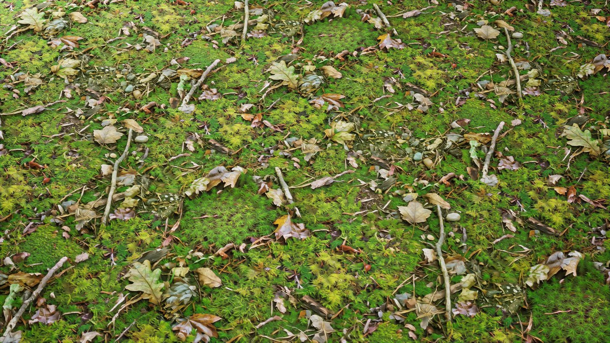 Realistic Materials - Terrain 1