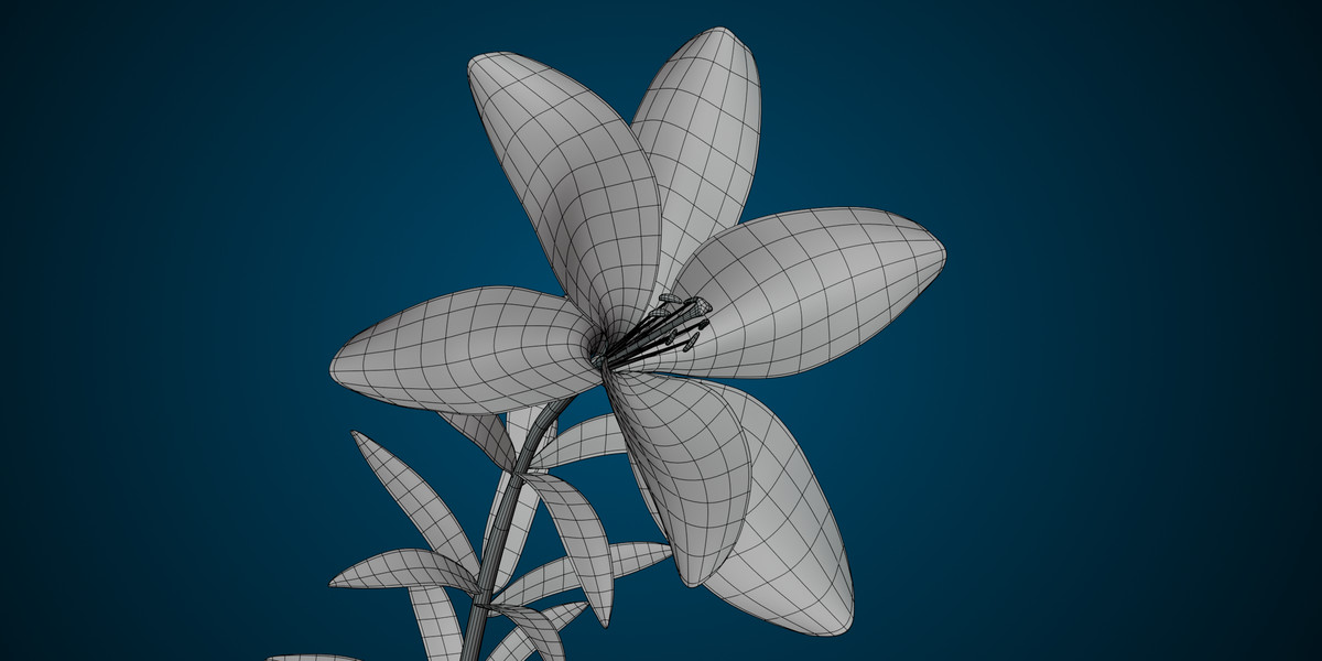 Animated blooming lily