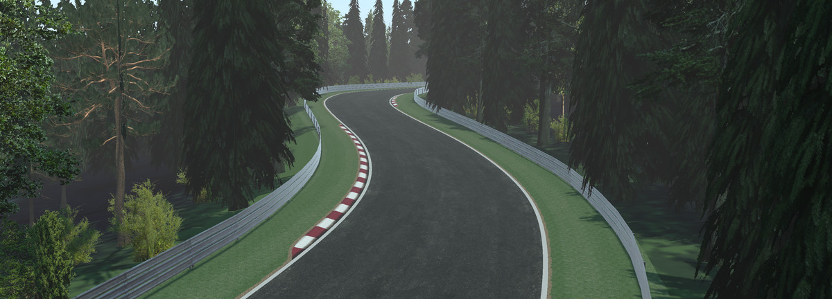 Realistic Race Track Schwarzwald