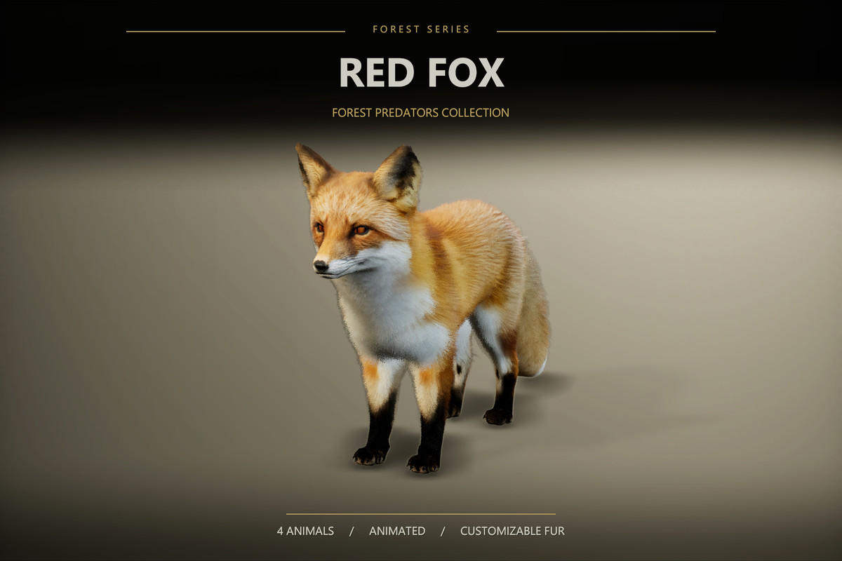 Forest Predators Collection - Realistic Animated Animals