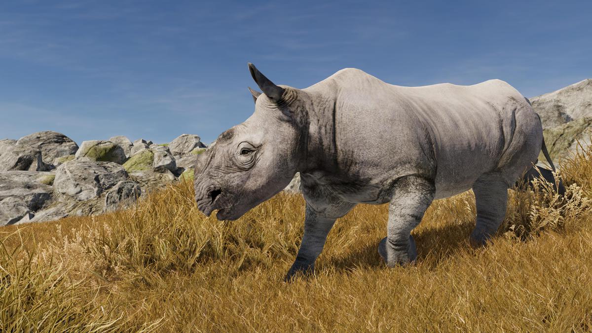 Realistic African Rhinoceros