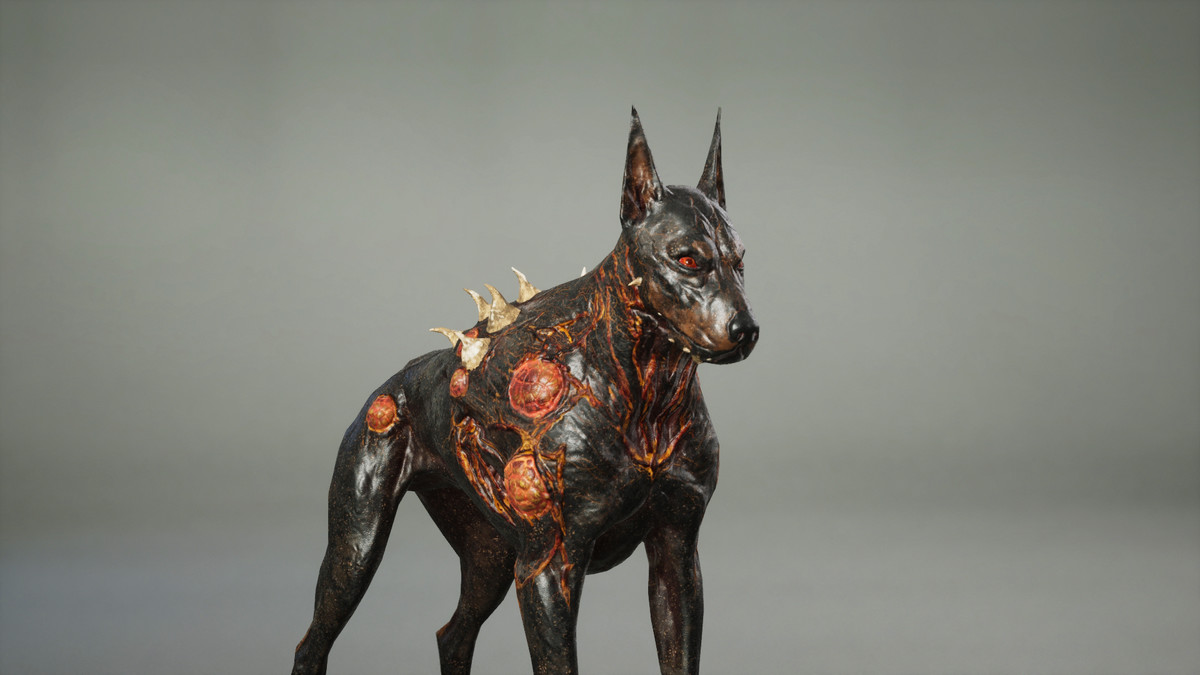 Dog mutant