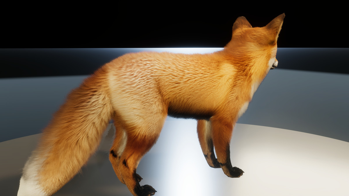 Forest Predators Collection - Realistic Animated Animals