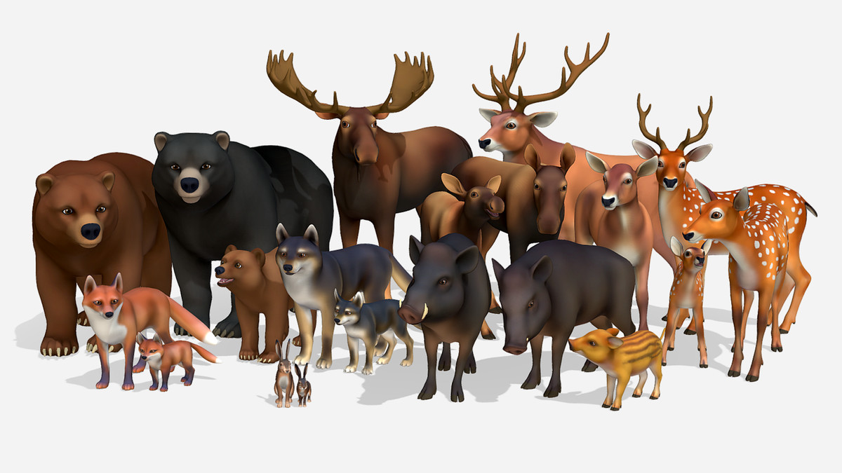 Cartoon Wild Animals