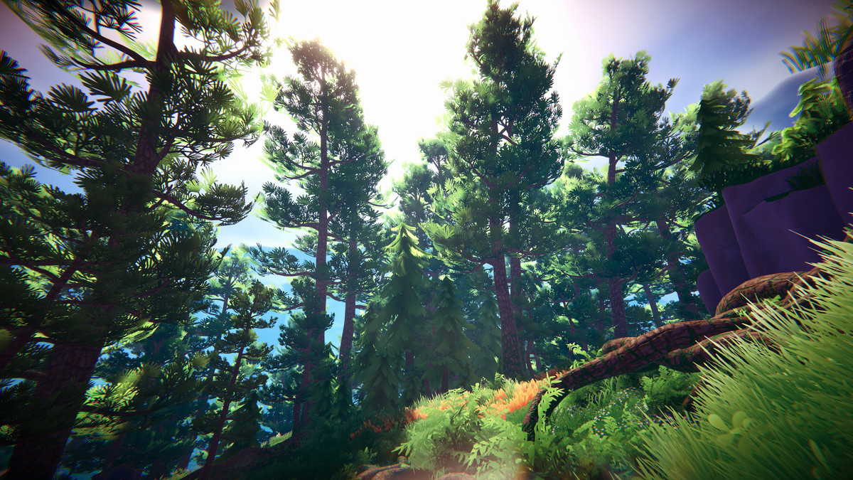 Adventure Nature Vol.6 Forest