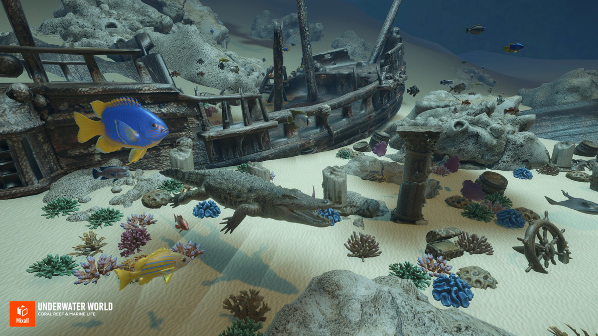 Underwater world - Coral Reef & Marine Life