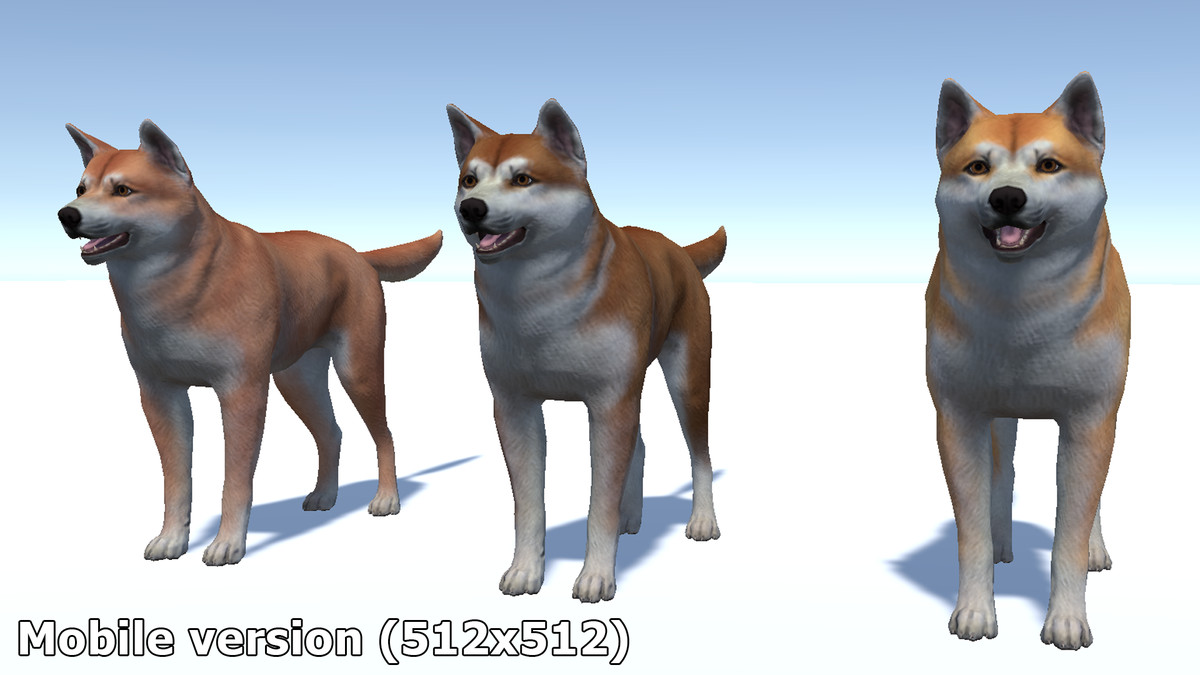 Dog - Akita Inu