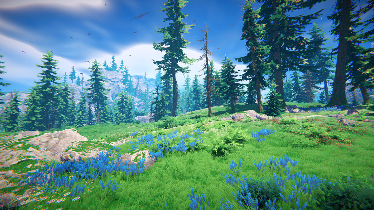 Adventure Nature Vol.7 Spruce Forest