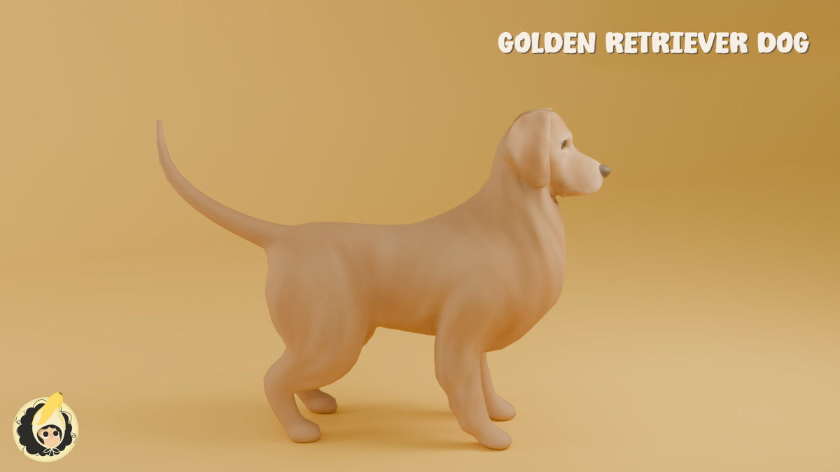 Golden Retriever Dog