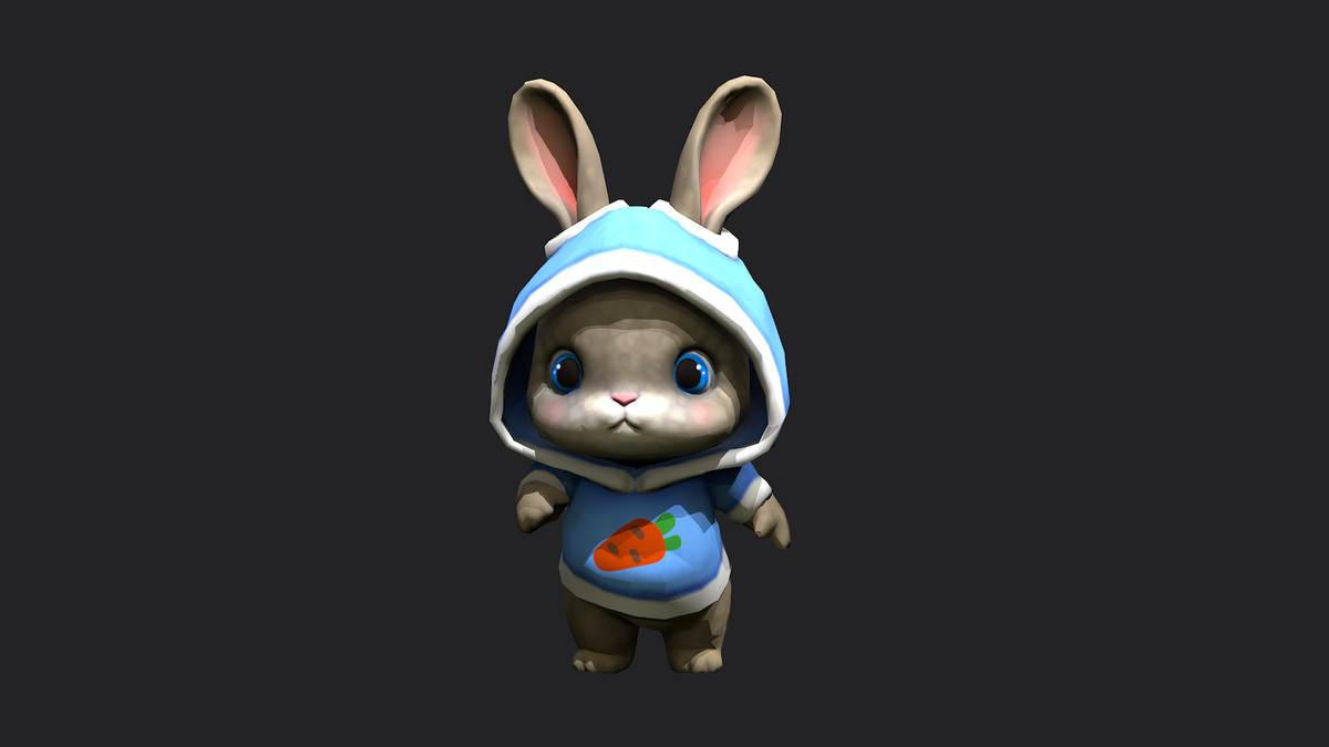 Bunny in hoodie