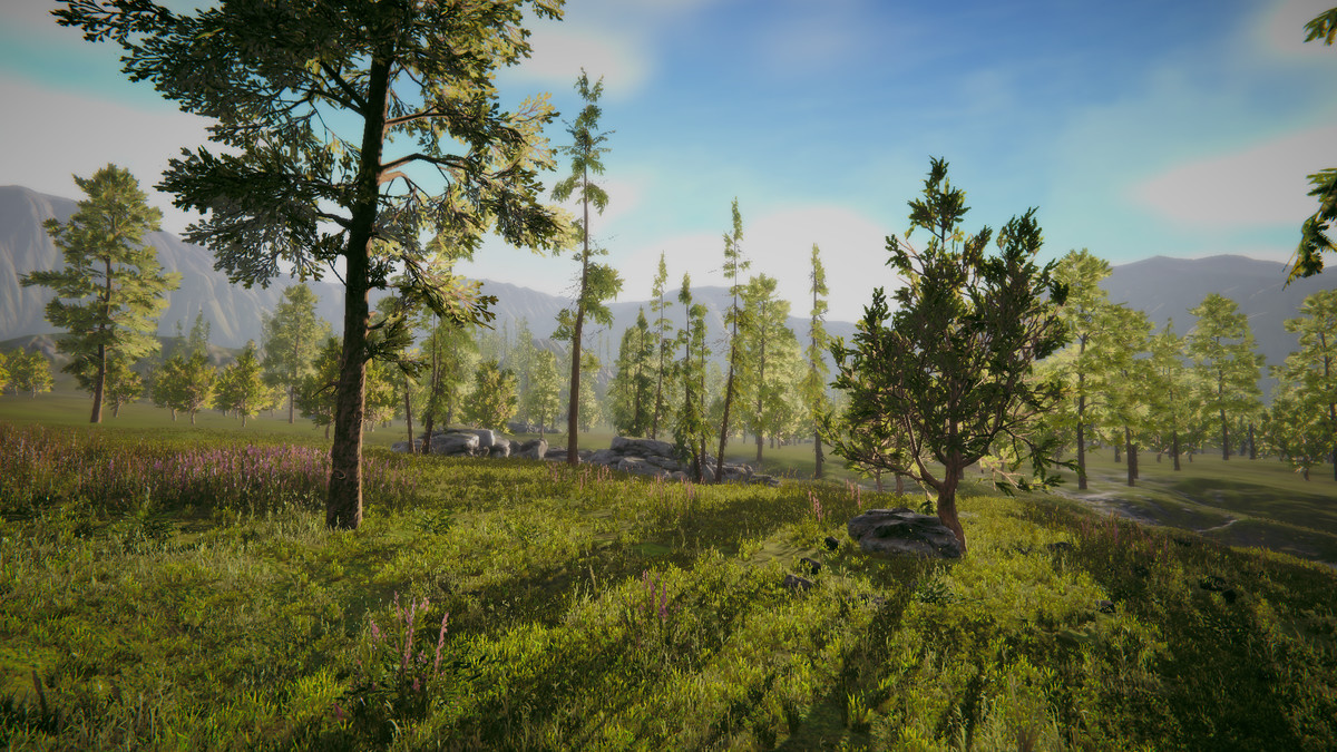 PhotoMode