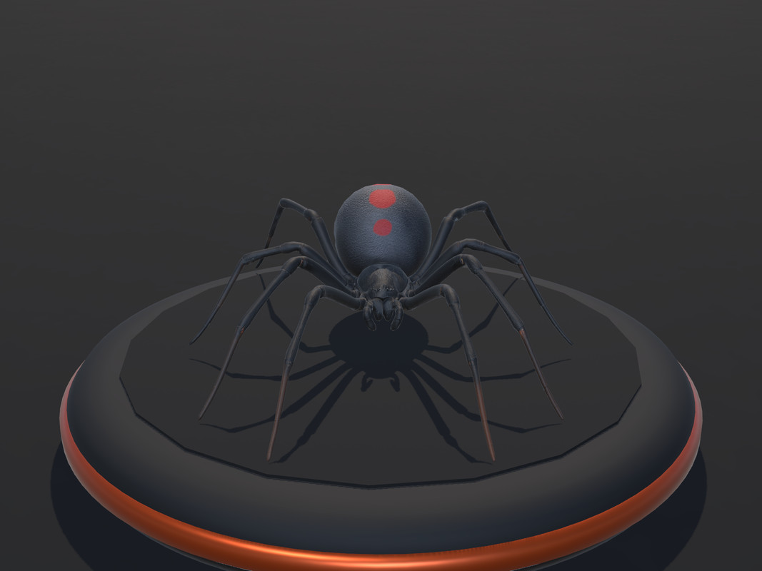 Arachnid Collection — 4 Animated Spiders