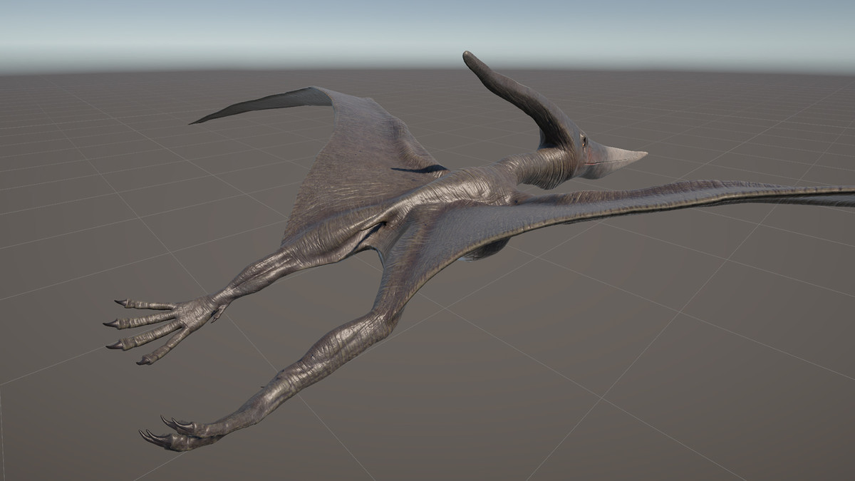 Dinosaur Pteranodon 179 Animations