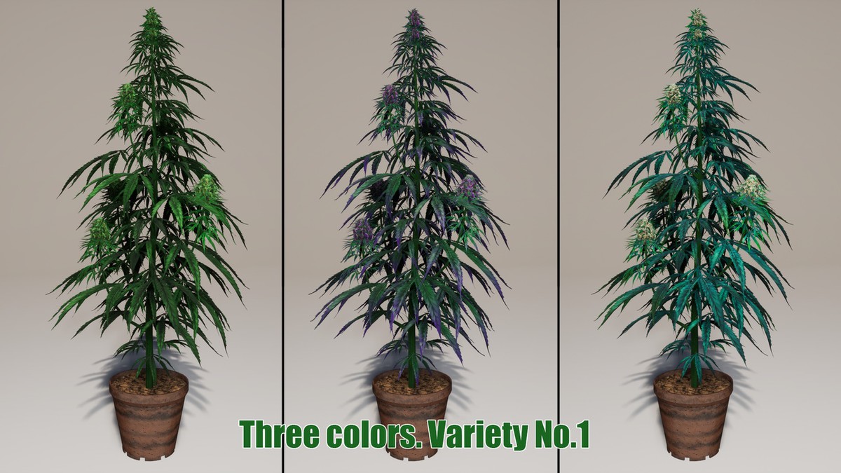Drugdealer Game 3D Complete Pack