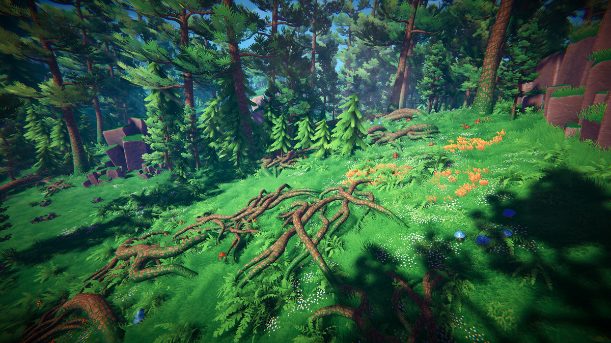 Adventure Nature Vol.6 Forest