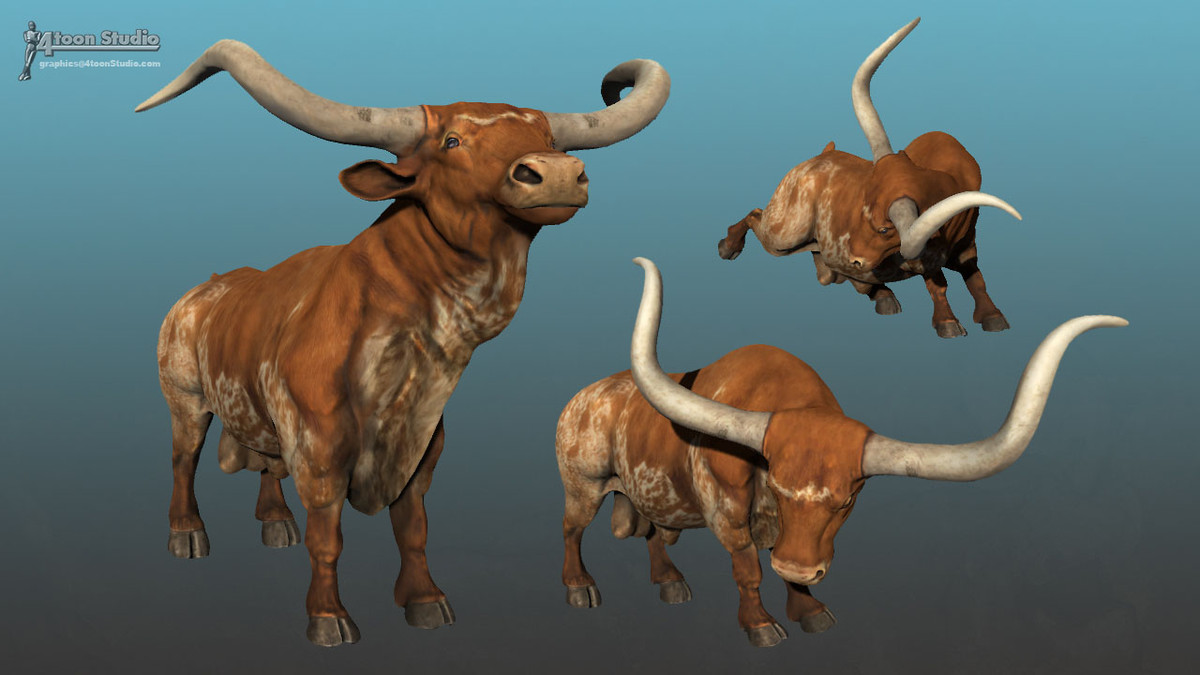 Domestic Bull Texas Long Horn (SV)