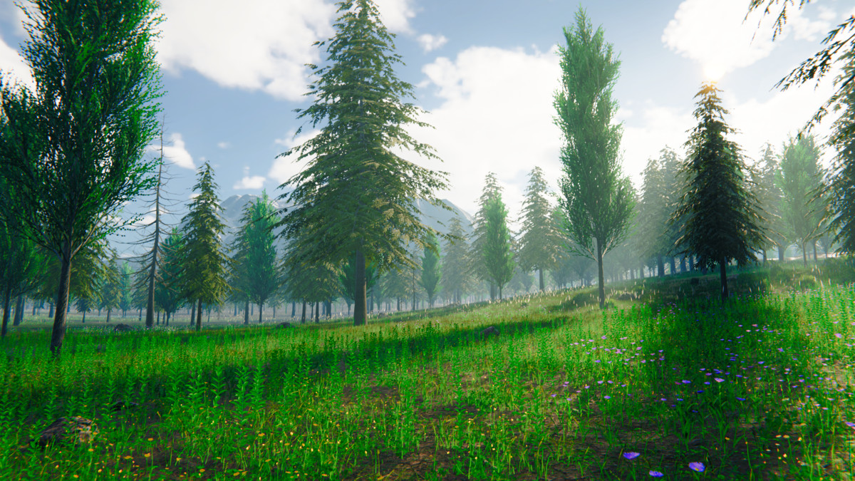 Grass Landscape