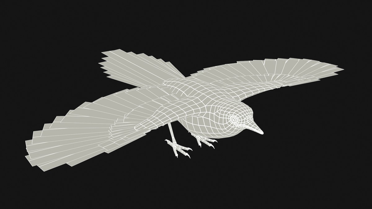 Magpie