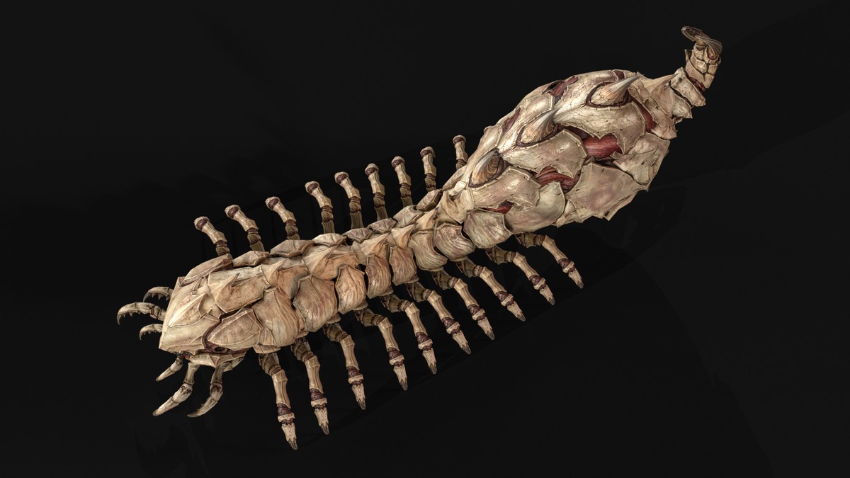 Broodmother Centipede Queen