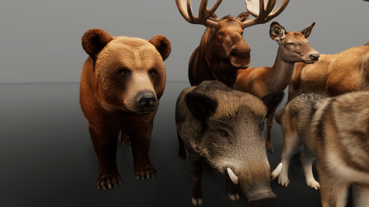 Ultrarealistic Forest Animals - Customizable Fur