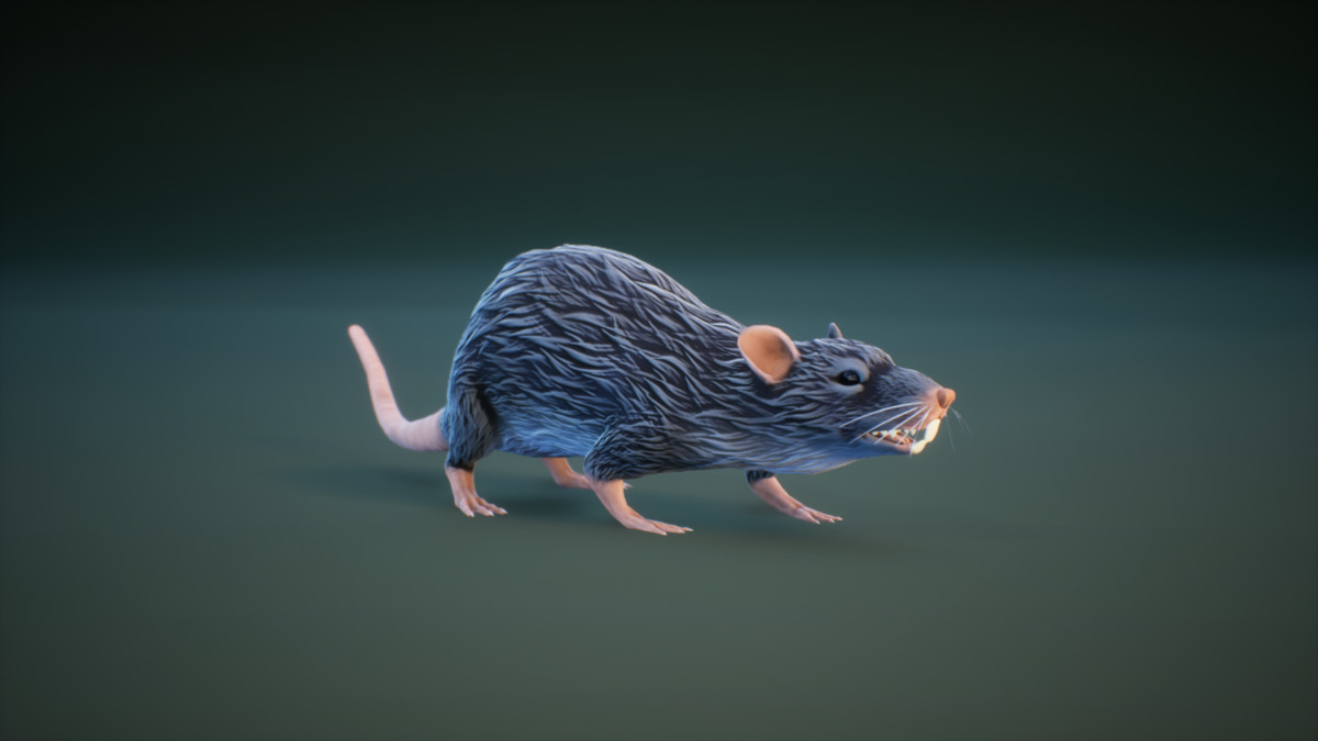 Animal Character Pack