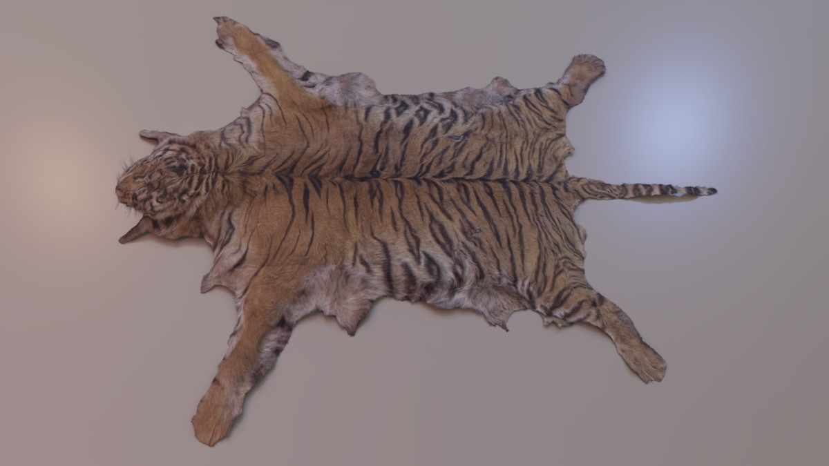 Animal pelts volume 6 bear, kangaroo, tiger, rhino, sheep, goat 4k URP Hair LODs