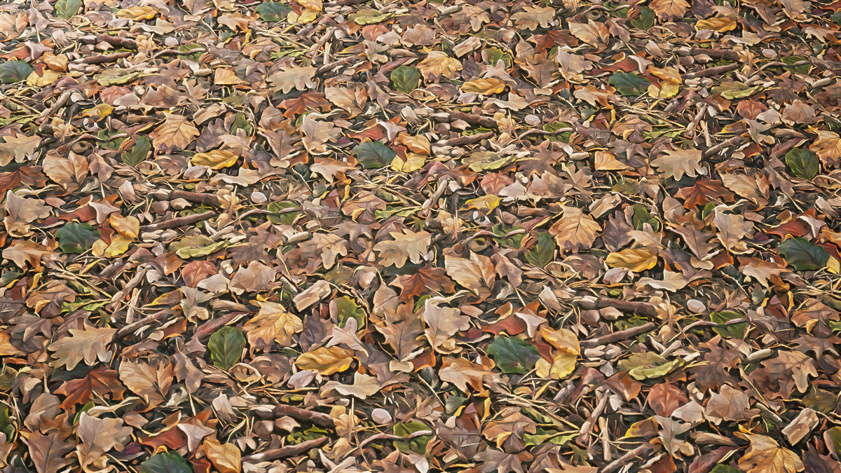 Stylized Materials - Forest Ground 1