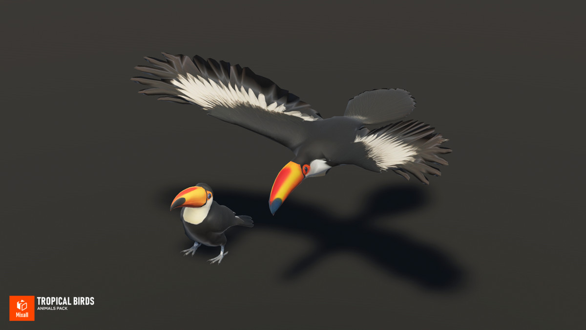 Tropical birds - animals pack