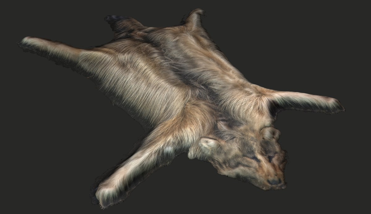 Animal pelts volume 4: giraffe, wolf, stag, reindeer, sheep, bull, bison 4k