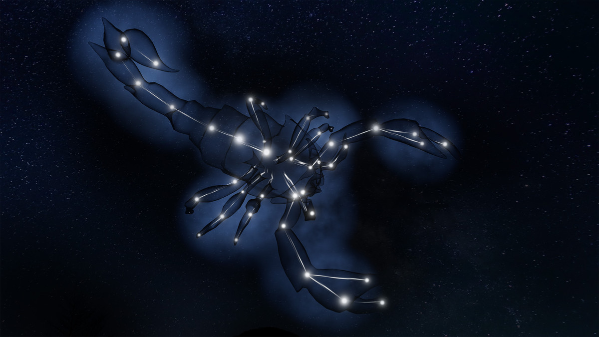 Star scorpion