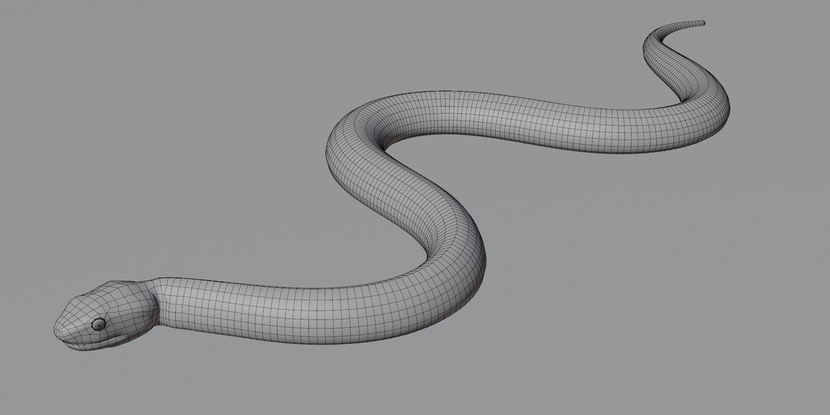 Animated snake pack
