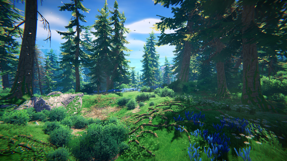 Adventure Nature Vol.7 Spruce Forest