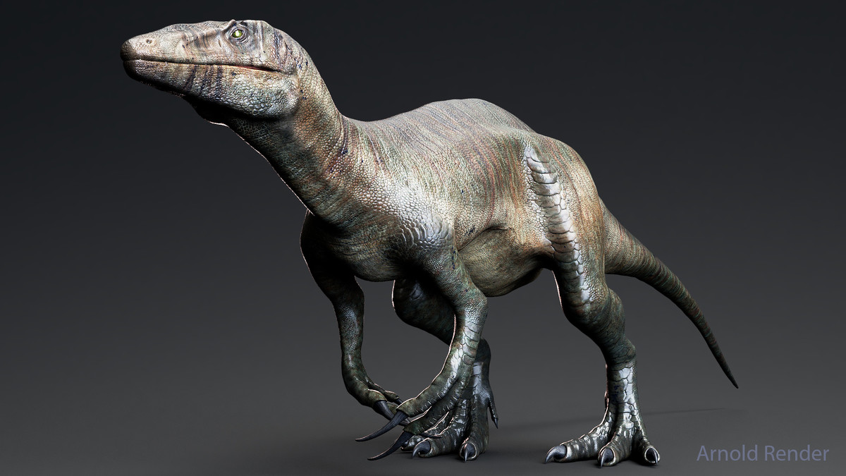 Dinosaur Raptor - MegaRaptor