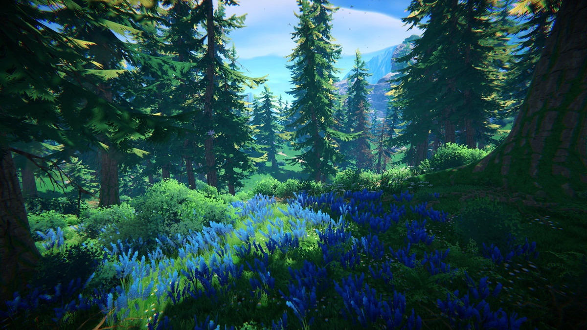 Adventure Nature Vol.7 Spruce Forest