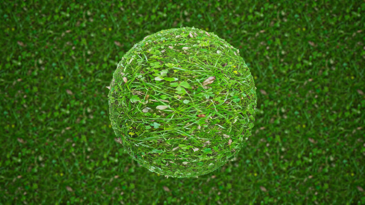 Realistic Materials - Forest Ground 2