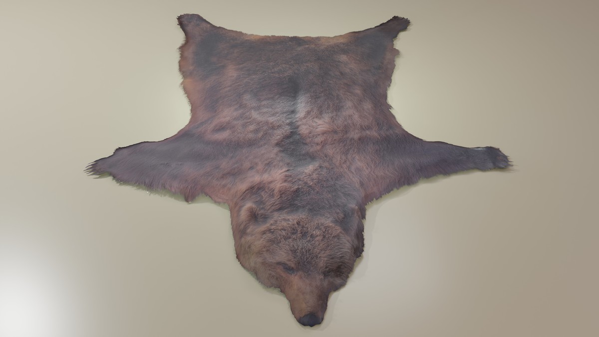 Animal pelts volume 6 bear, kangaroo, tiger, rhino, sheep, goat 4k URP Hair LODs