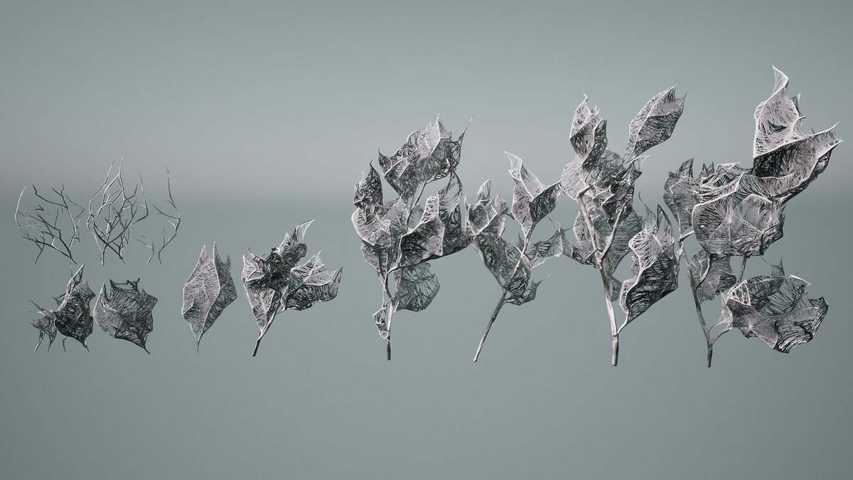 Decay trees