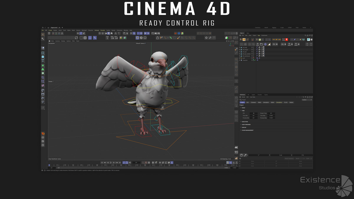 White Pigeon - Flying System - Bird Behavior