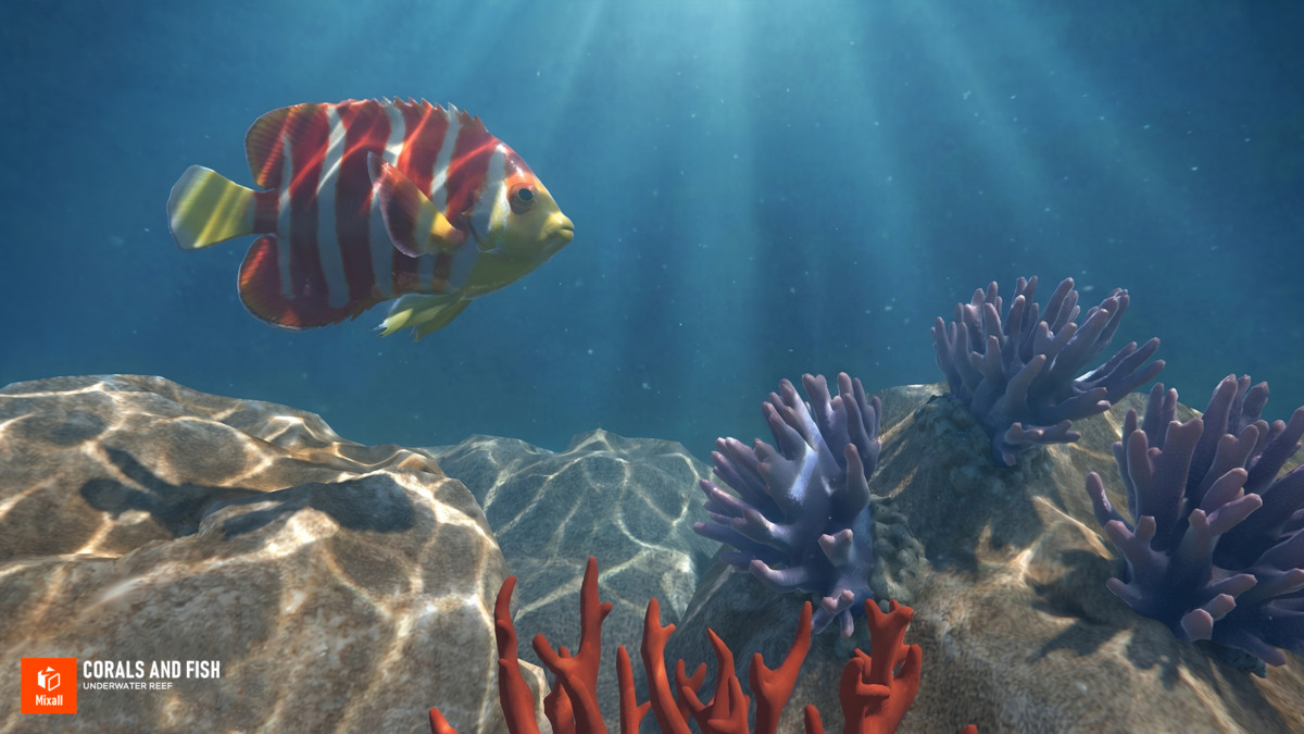 Corals and fish - underwater reef
