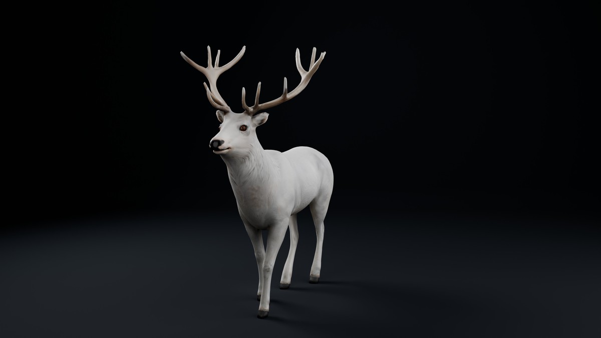 White Deer Stag – Rigged & Animated