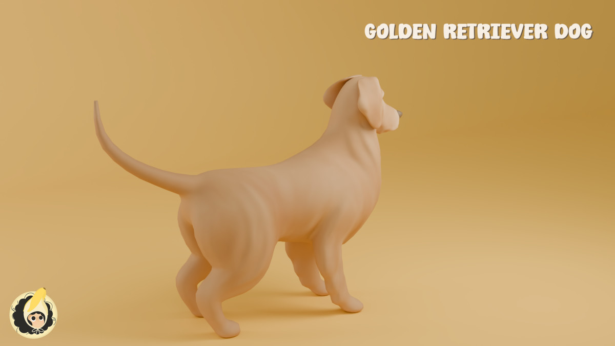 Golden Retriever Dog