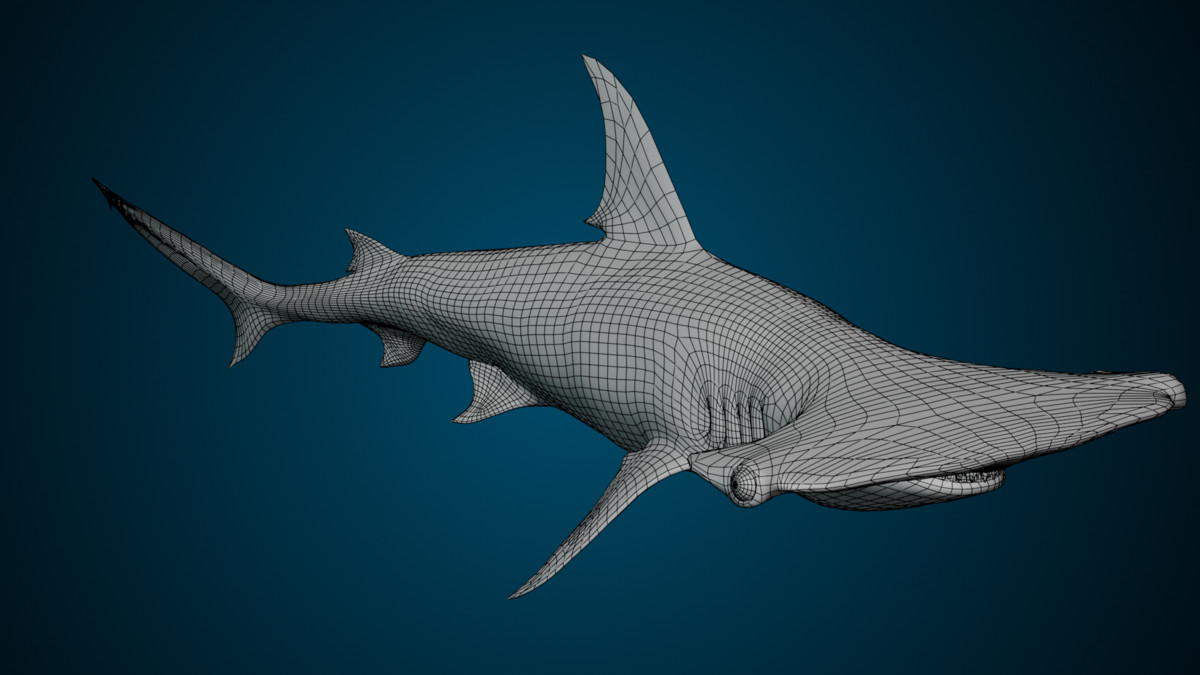 Animated Hammerhead Shark (02)