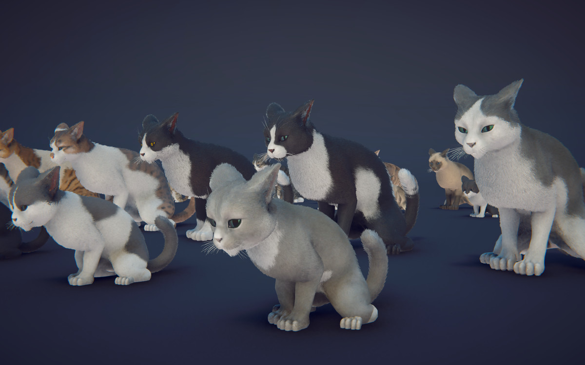 Milo the Cat
