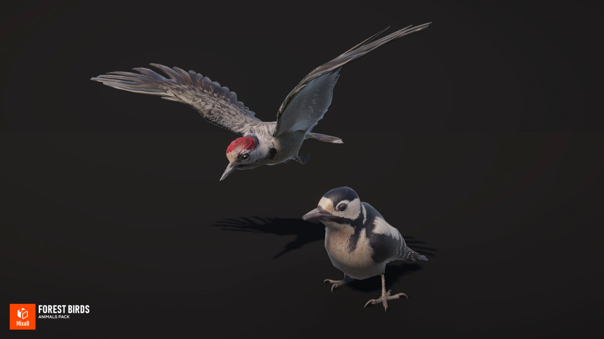 Forest birds - animals pack