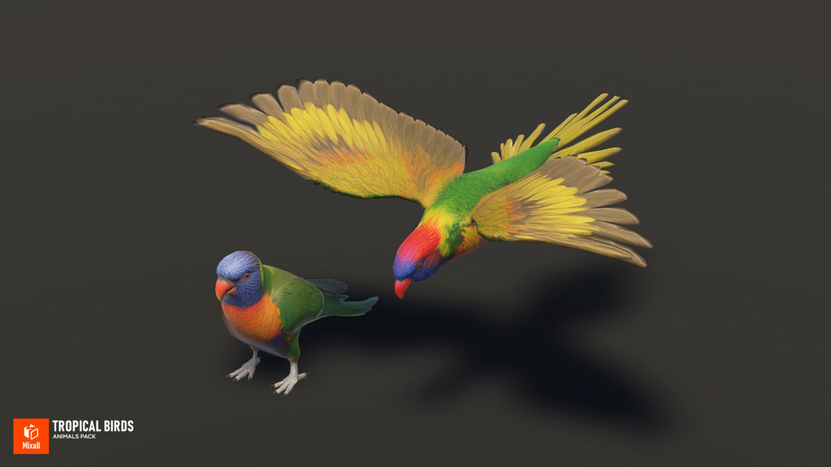 Tropical birds - animals pack